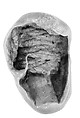 Sealing, Clay (unfired)